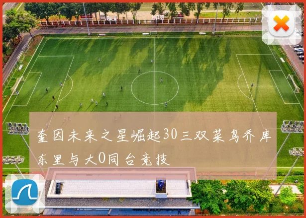 奎因未来之星崛起30三双菜鸟乔库东里与大O同台竞技
