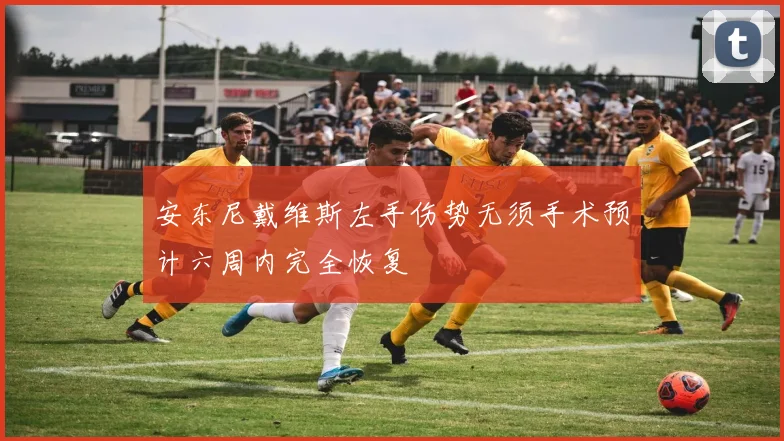 安东尼戴维斯左手伤势无须手术预计六周内完全恢复